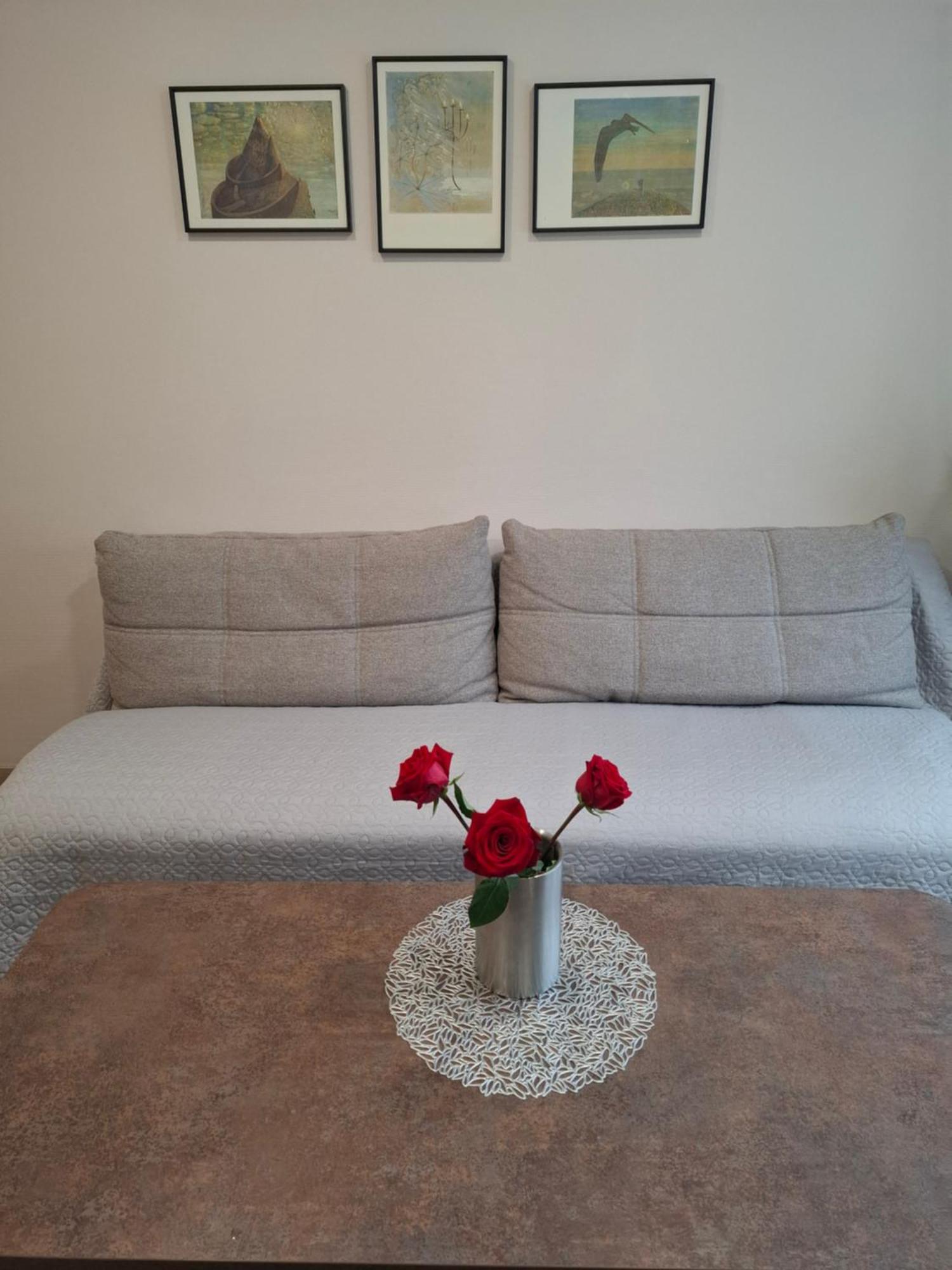דרוסקינינקאי Apartamentai Auris מראה חיצוני תמונה